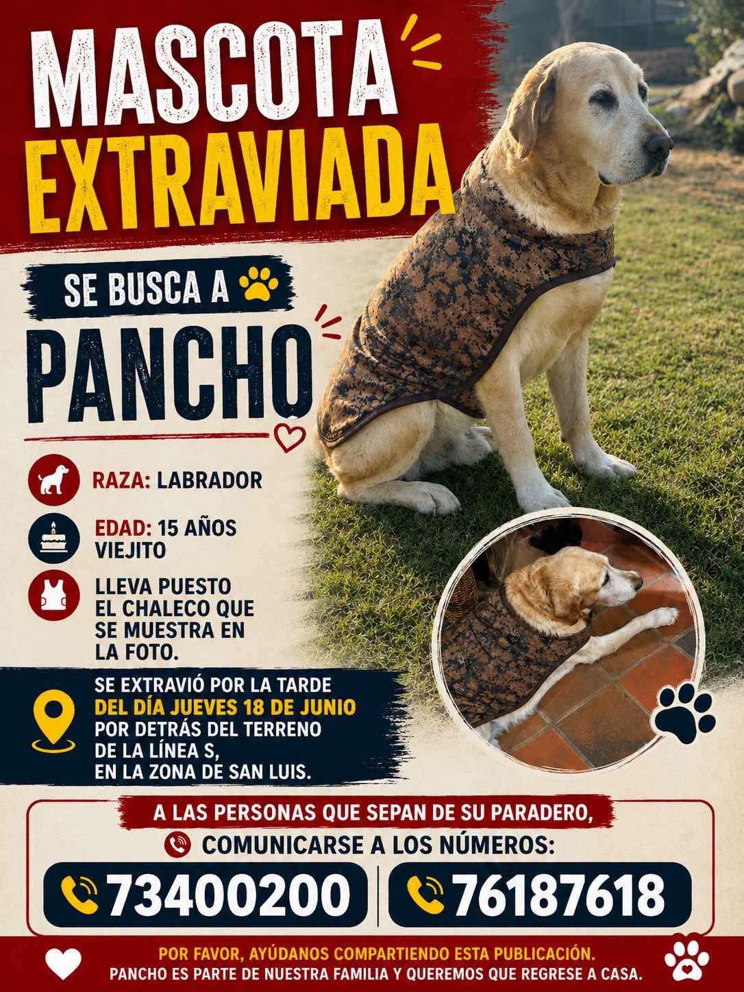 Foto 1